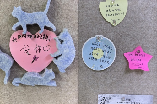 图片8_副本 (1).jpg